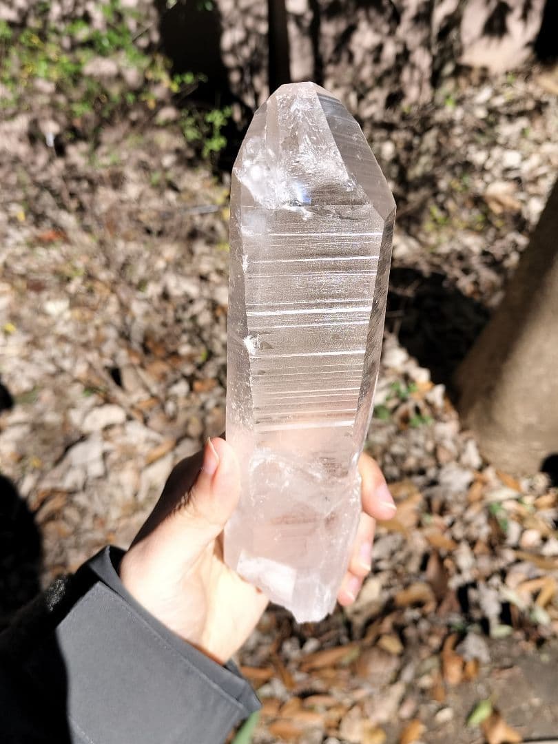 【早いもの勝ち超特価】レムリアンシード