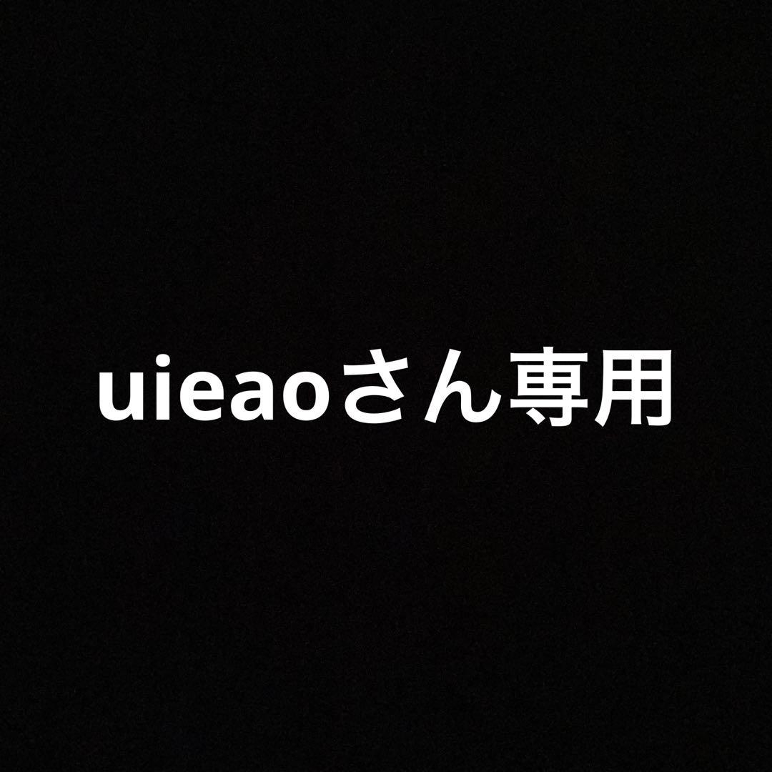 uieaoさん専用