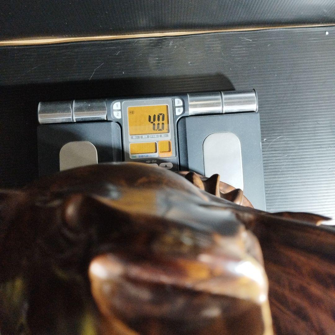 【唐木】花梨 ？鯉 置物 高さ約42.0㎝ 幅約40.0㎝ カリン材 オブジェ