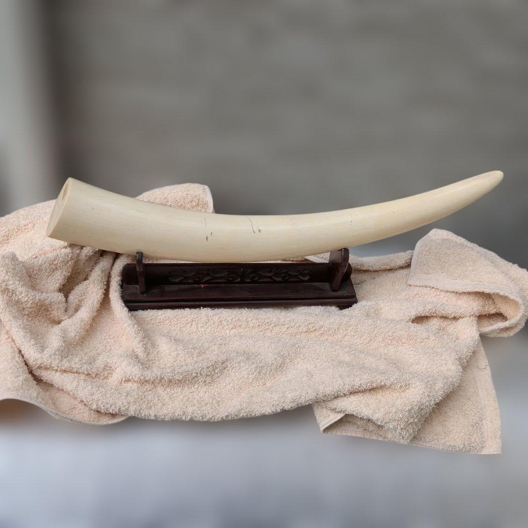 象牙風の置物 木製台座付き