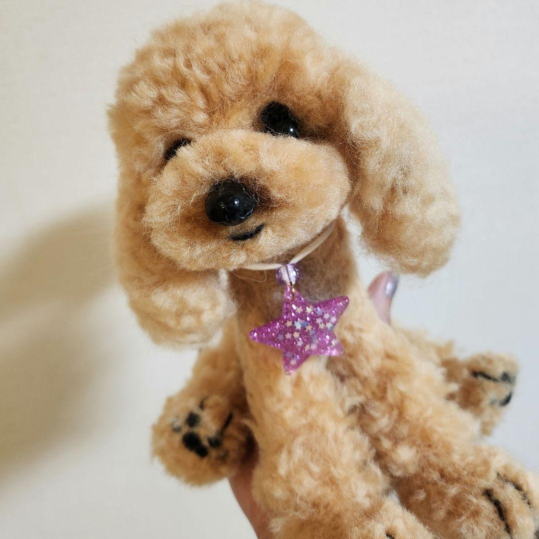トイプードル❤️羊毛フェルト❤️　　　　　　　　　　　　　　　お迎え決まりました