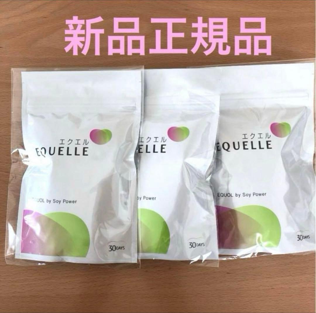 エクエル　パウチ 120粒 大塚製薬　3袋
