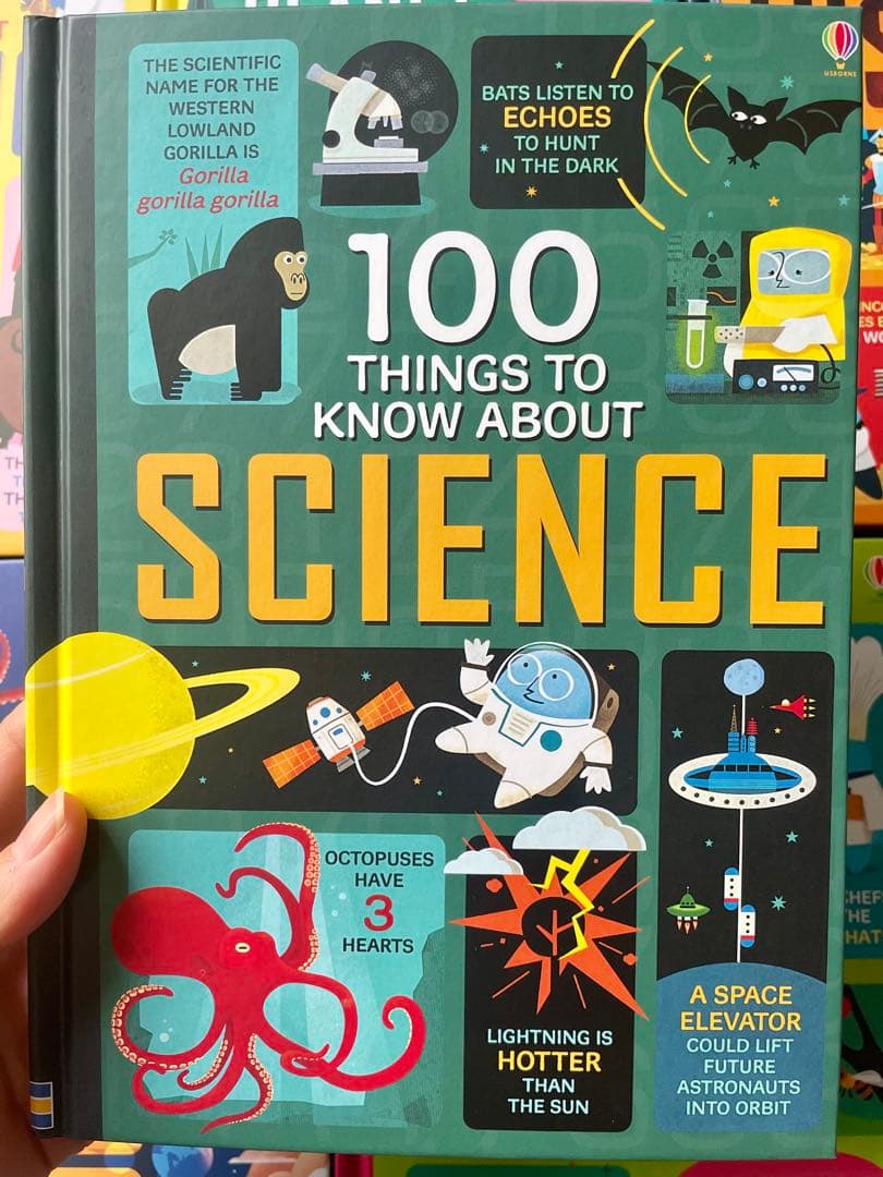 新品100 Things to Know About 11冊セット英語絵本洋書