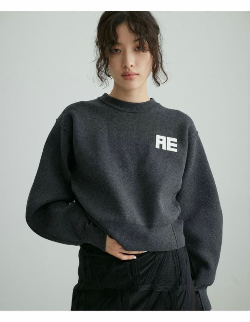 ADAM ET ROPE' フェルト刺しゅうニットプルオーバー 36