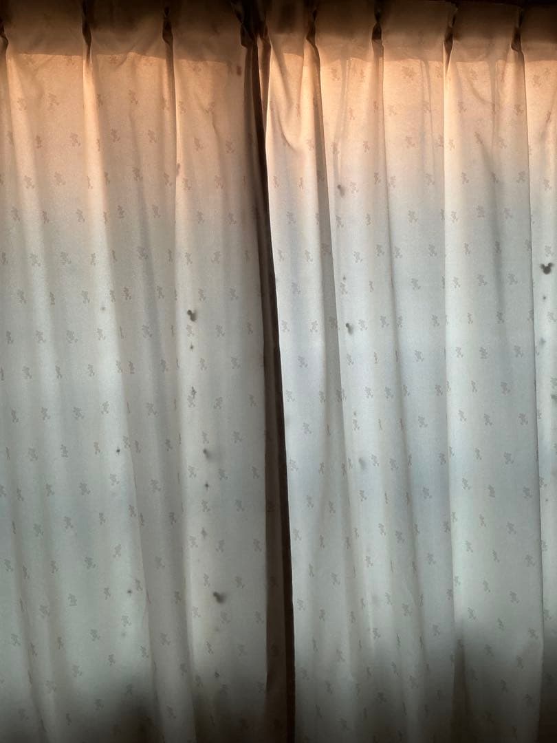 大人 ディズニー　カーテン　100×180㎝　２枚　タッセル付　ベージュ