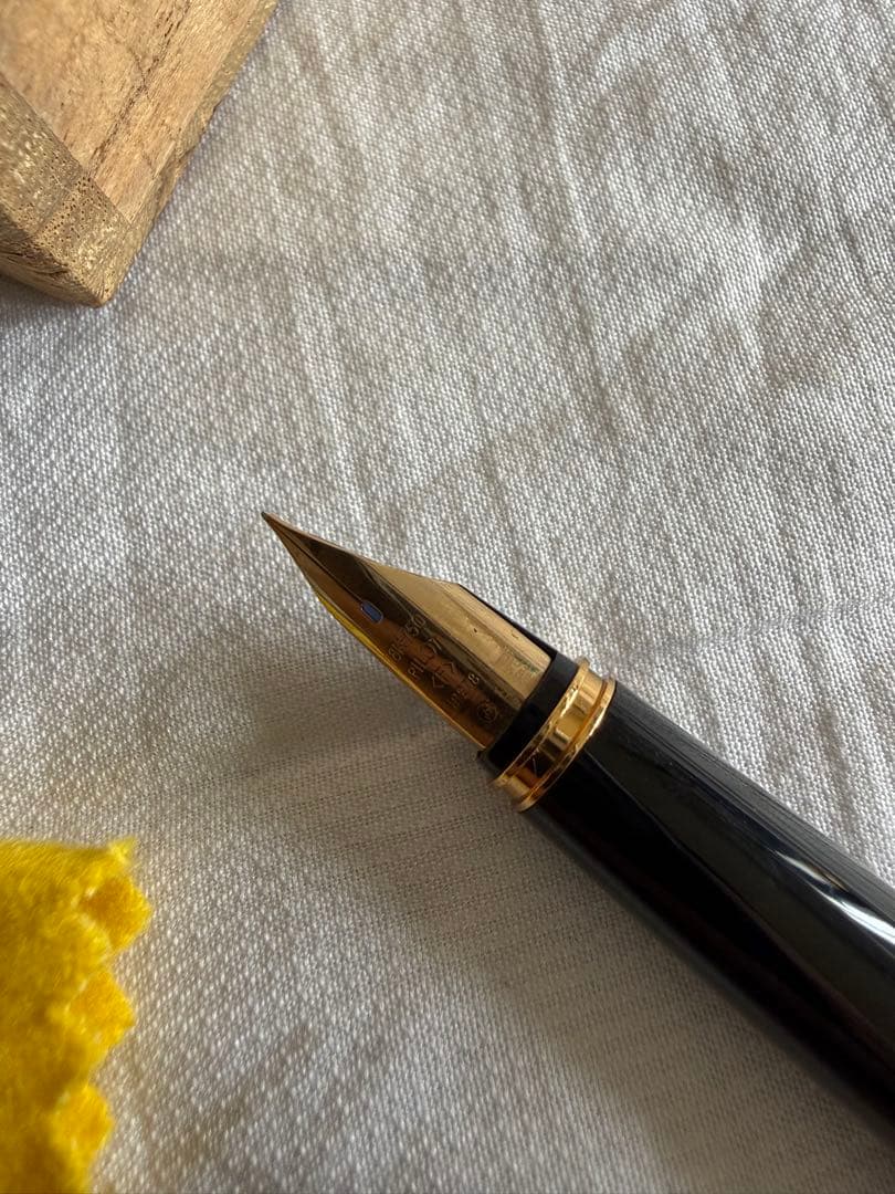 パイロット蒔絵万年筆、竹