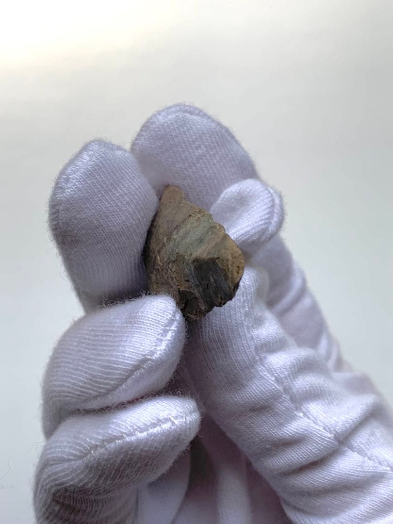 旧石器時代　矢尻　打製石器　出土　紀元前　尖頭器　土器　勾玉　石斧　化石　隕石