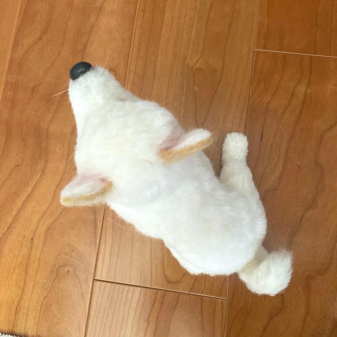 羊毛フェルト　白柴　紀州犬　白い子犬　パピー犬