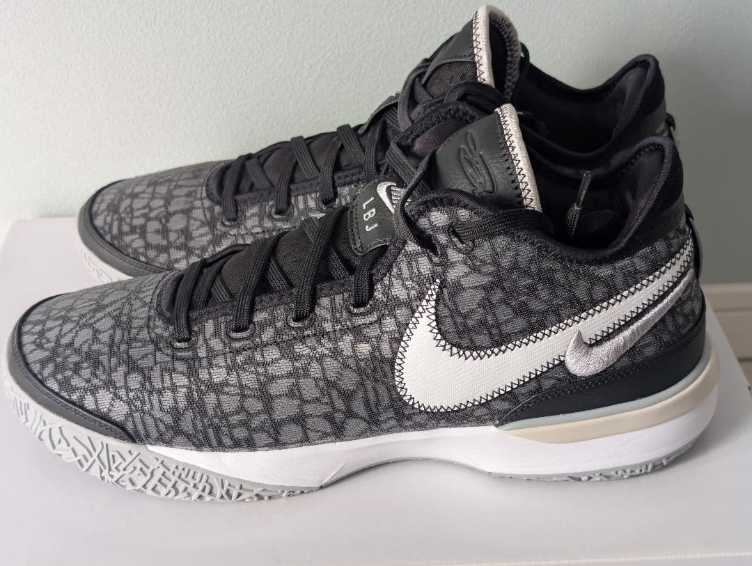 シューズ(男性用) Nike Lebron NXXT GEN 30cm