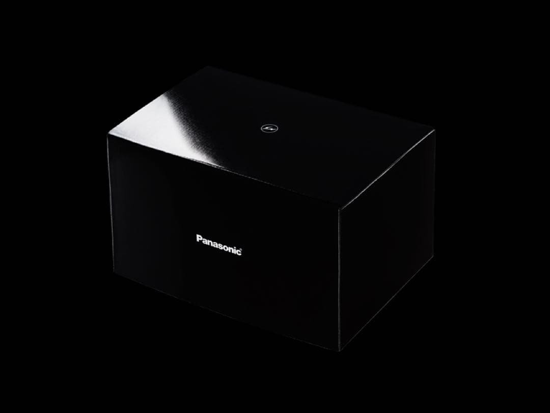 Panasonicラムダッシュ パームイン　フラグメント