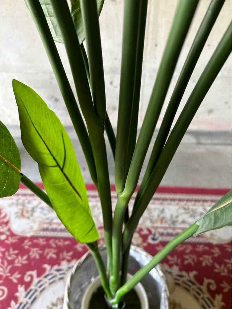 光触媒　人工観葉植物　オーガスタ　フェイクグリーン　ストレッチア155aj