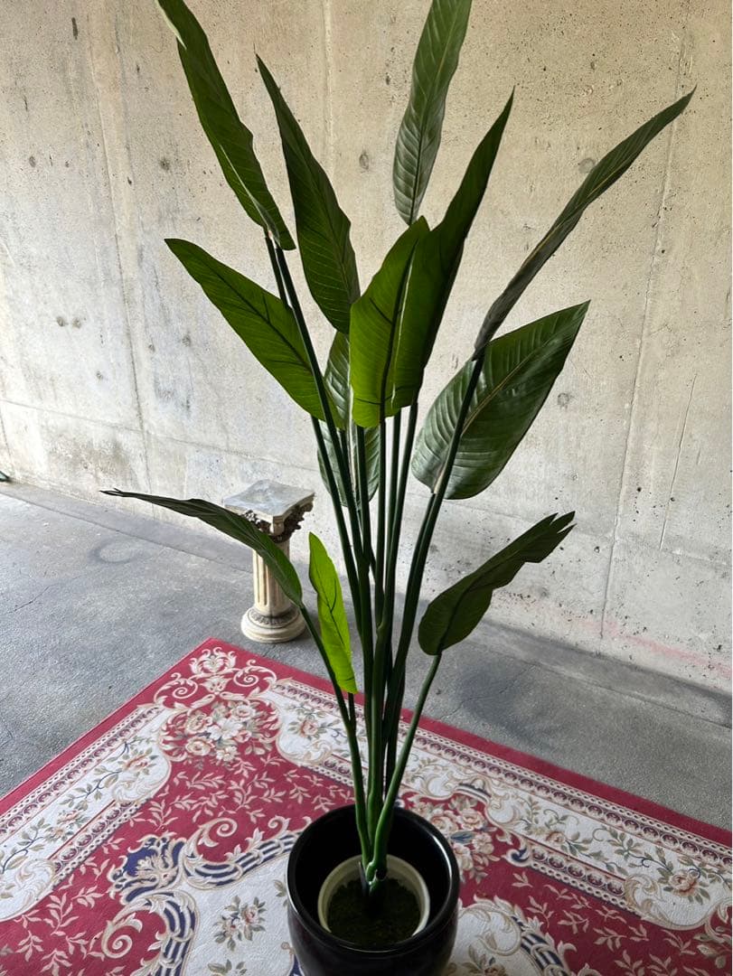 光触媒　人工観葉植物　オーガスタ　フェイクグリーン　ストレッチア155aj