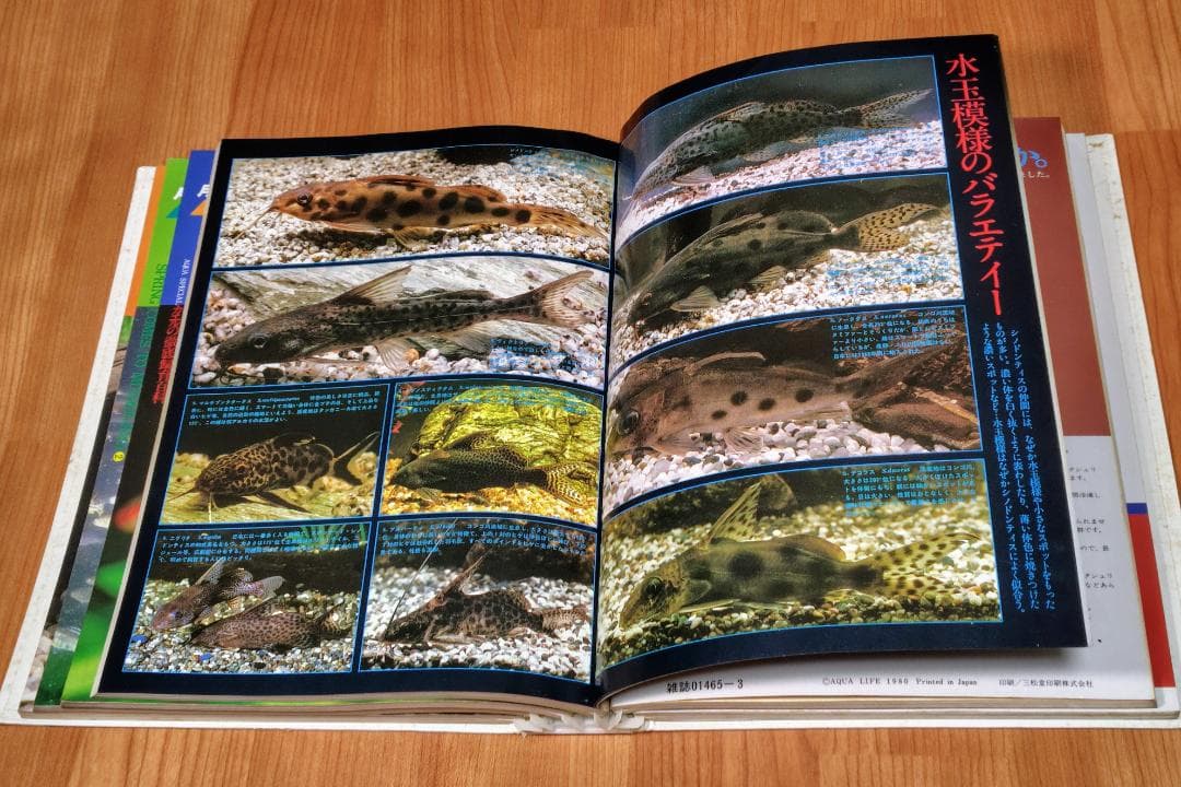 イ*3様 月刊アクアライフ 1980年 2月号～7月 合計6冊 昭和55年