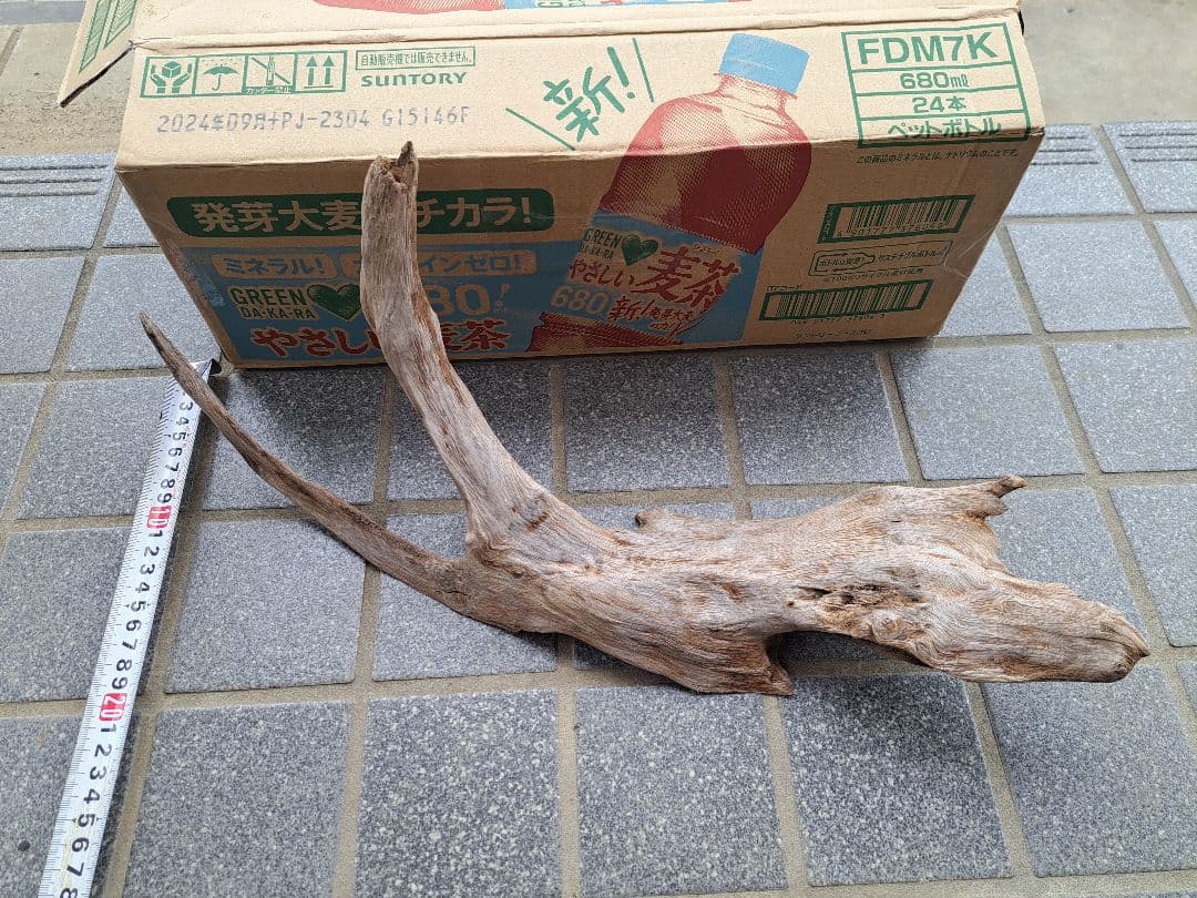流木