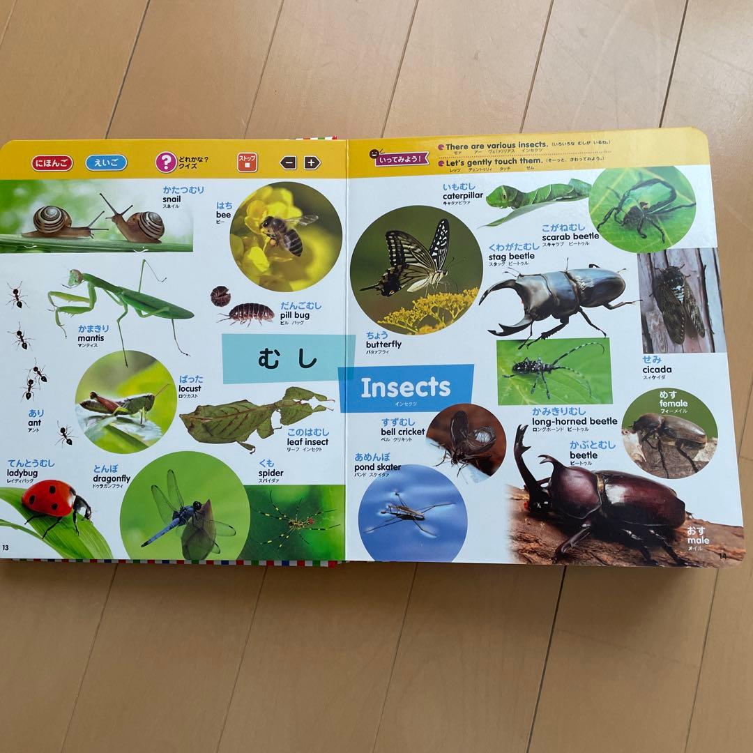 幼児向け英語・日本語絵本セット