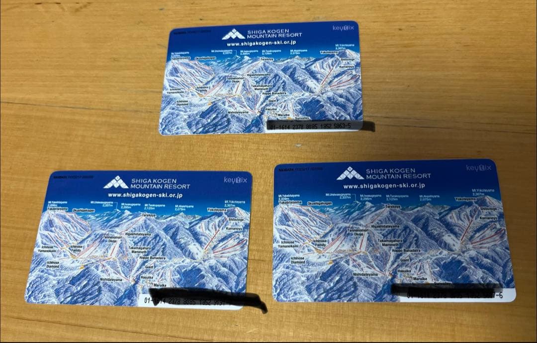 志賀高原　焼額山　エリア　1日券　やけび　リフト券