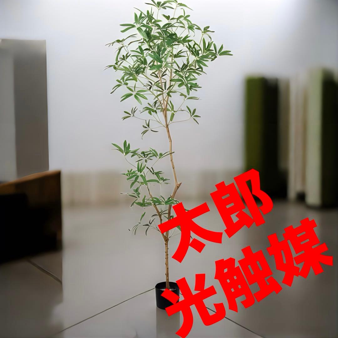 光触媒　人工観葉植物　フェイクグリーン　シェフレラアンガスティホォリア180
