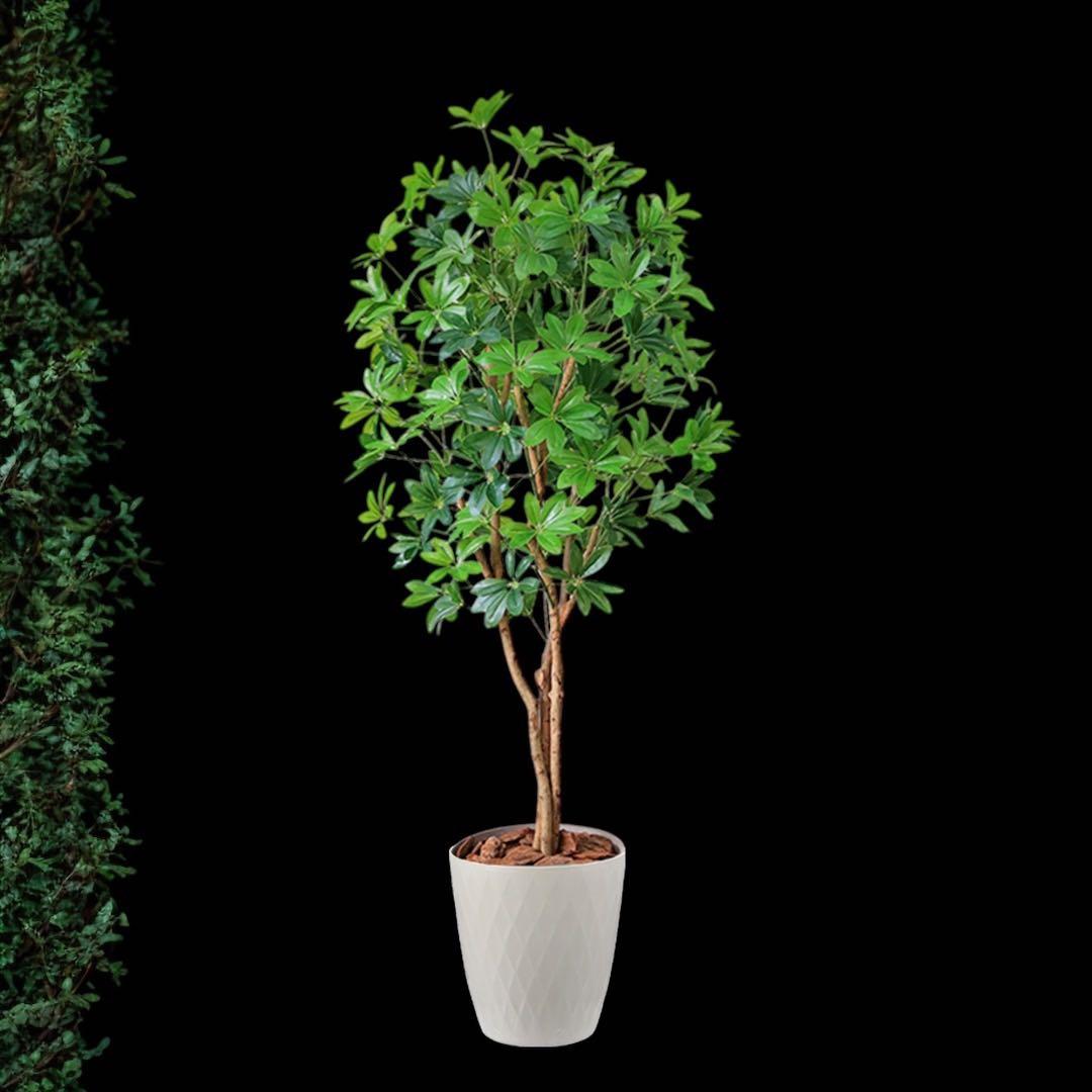 光触媒　人工観葉植物　ウォールグリーン　フェイクグリーン　カポック8321