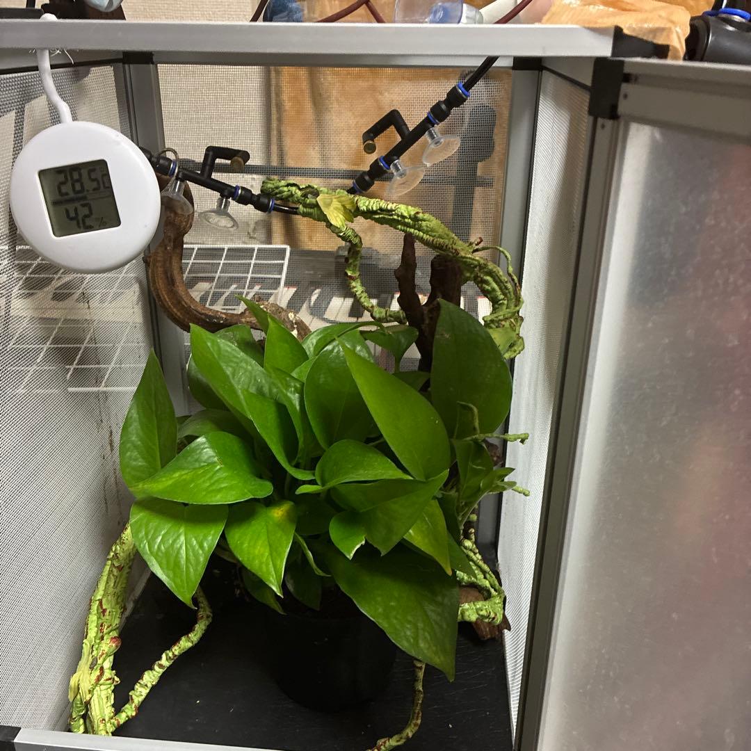 T*A様 爬虫類ケージ　ミストシャワーセット