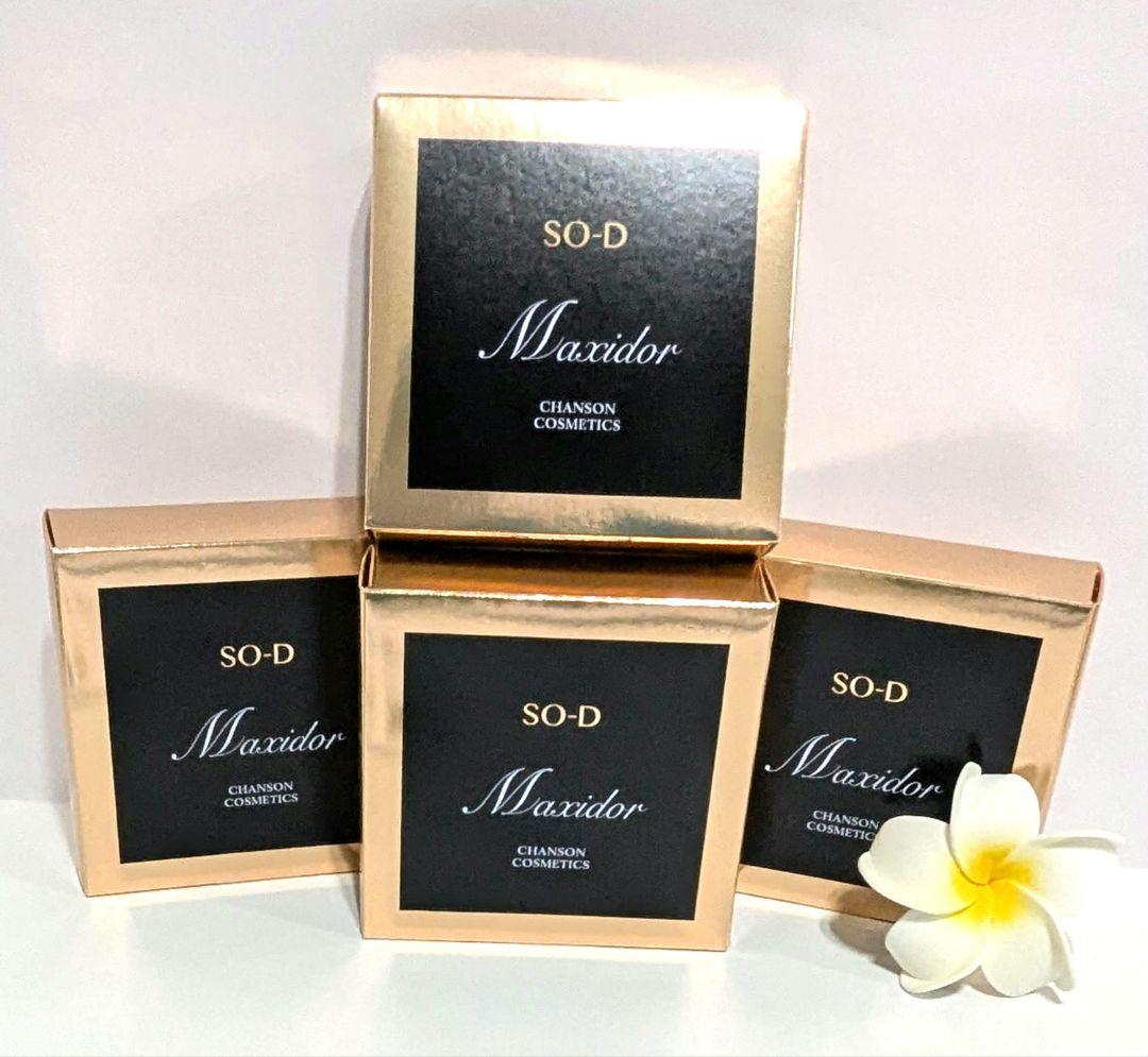 豪華マキシドールミニキットセット《新品》シャンソン化粧品