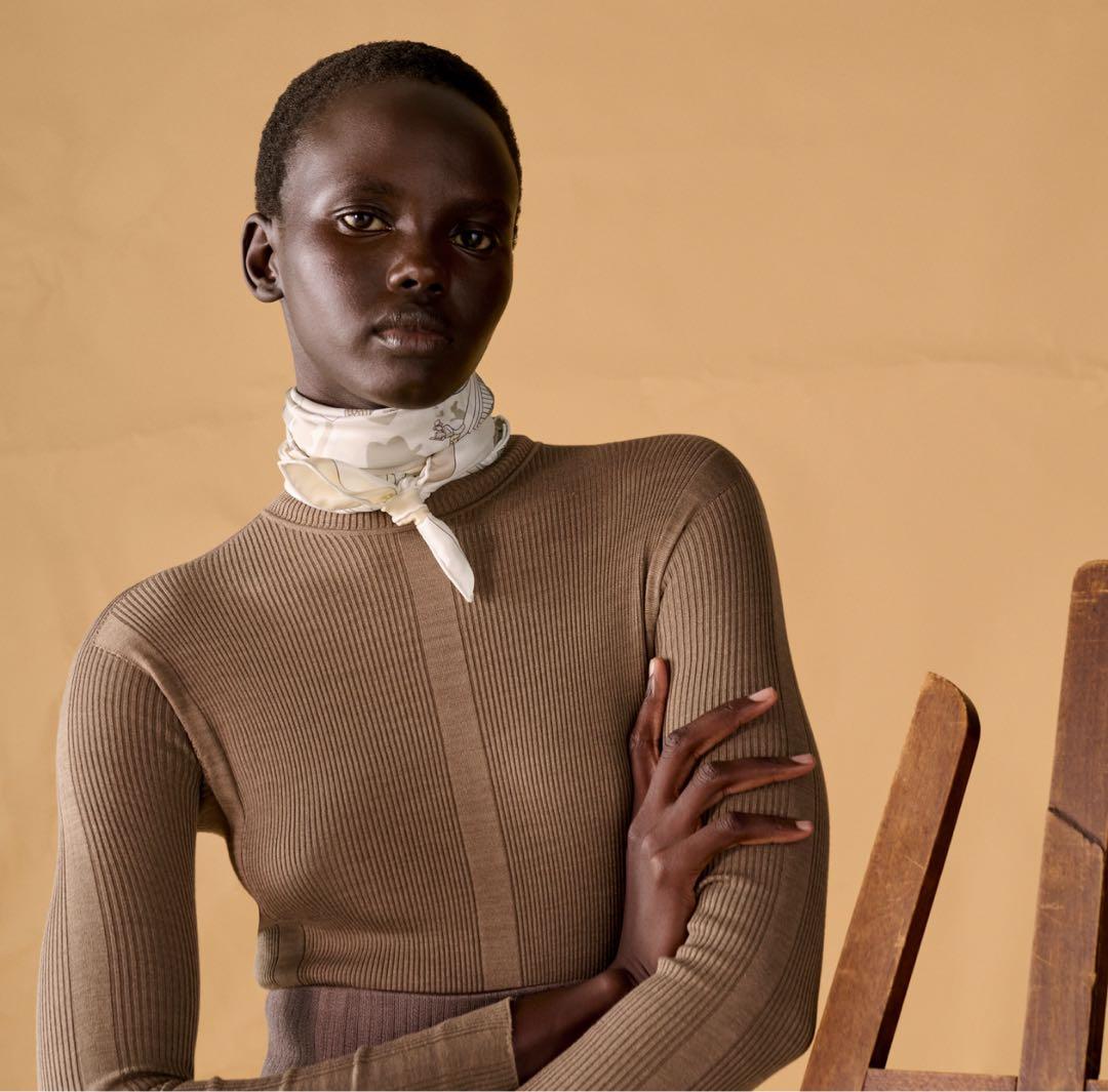 値下げ！新品未使用　エルメス　カレ 70 《華麗なるイリュージョン》　超希少