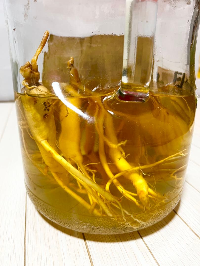 島根県産　高麗人参　古酒　24年もの　朝鮮人参