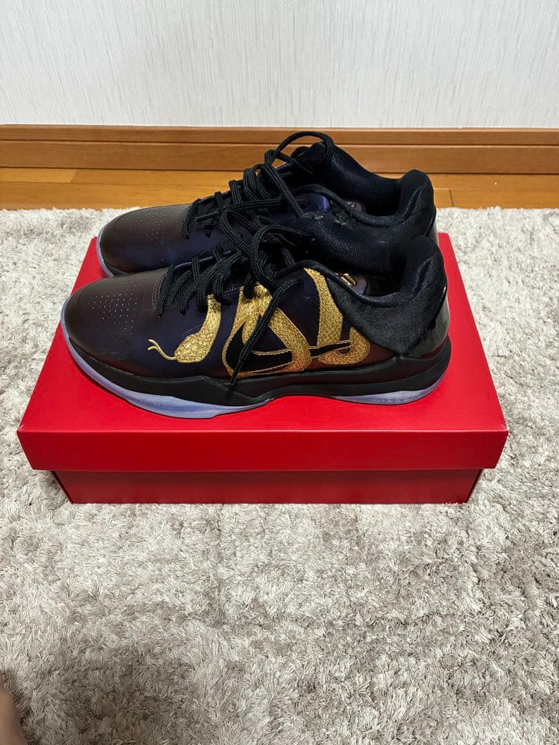 コービー5プロトロ