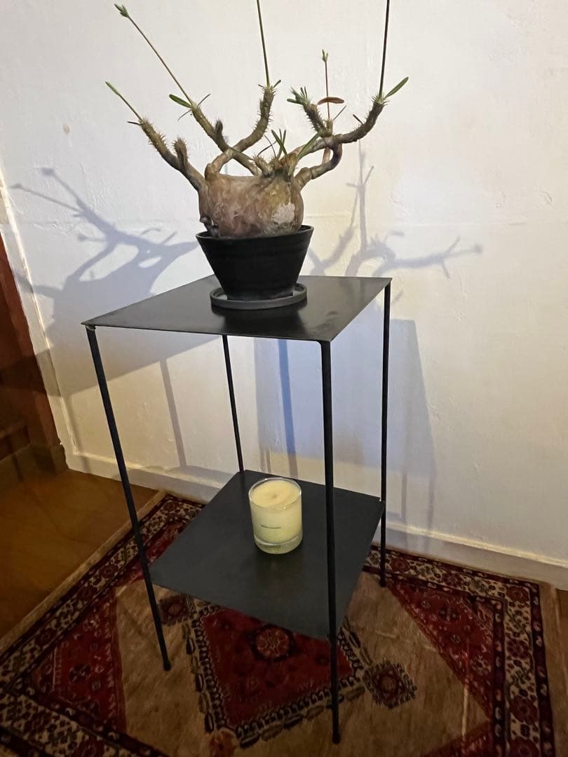 アイアン台　シンプル　無骨　植物棚　ディスプレイ棚