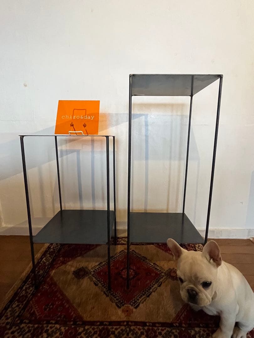 アイアン台　シンプル　無骨　植物棚　ディスプレイ棚