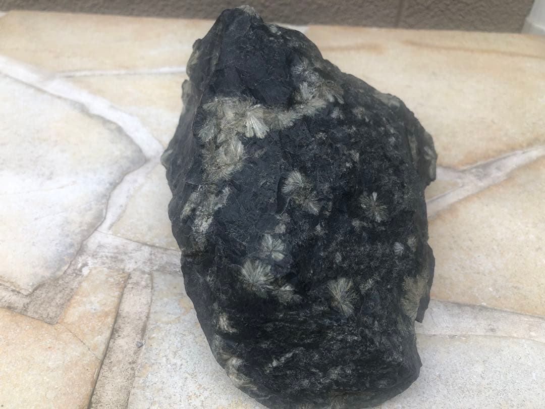 菊花石　鑑賞石　自然石