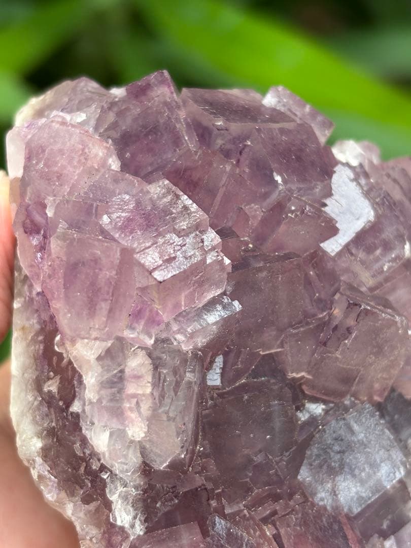 中国安徽省フローライト原石437g ピンクパープルカラー 可愛い　天然石