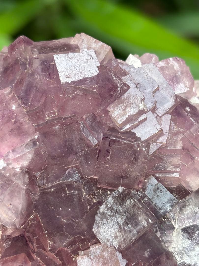 中国安徽省フローライト原石437g ピンクパープルカラー 可愛い　天然石