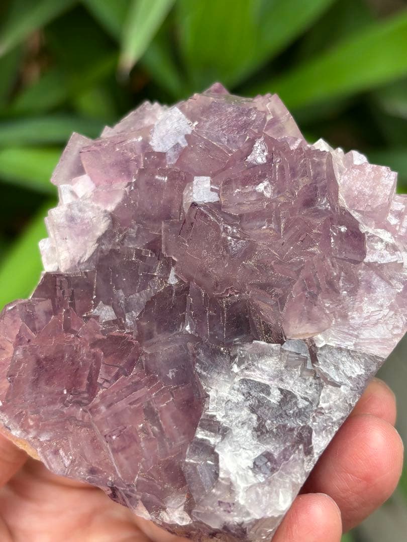 中国安徽省フローライト原石437g ピンクパープルカラー 可愛い　天然石