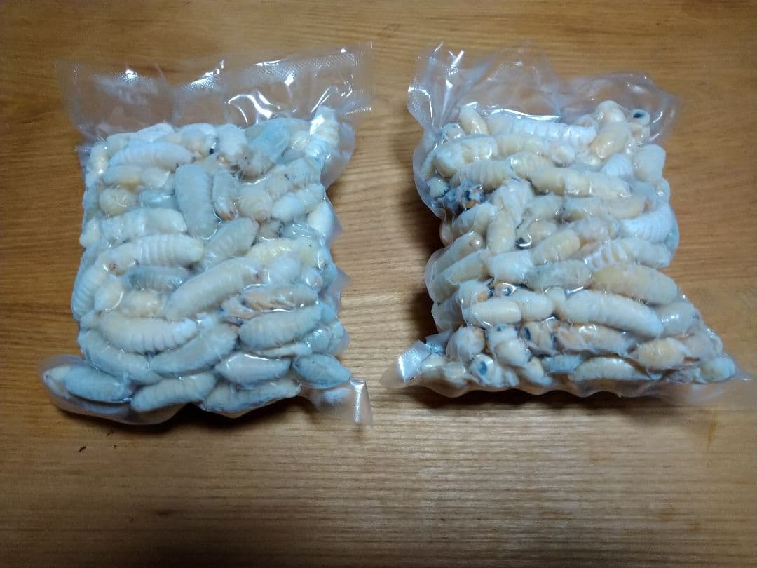 蜂の子。オオスズメ蜂。冷凍餌 真空パック500㌘✕2個 合計1kg