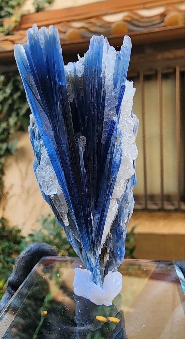 ブラジル・ミナスジェライス州産　極上ブルーカイヤナイト 原石 結晶　クォーツ共生