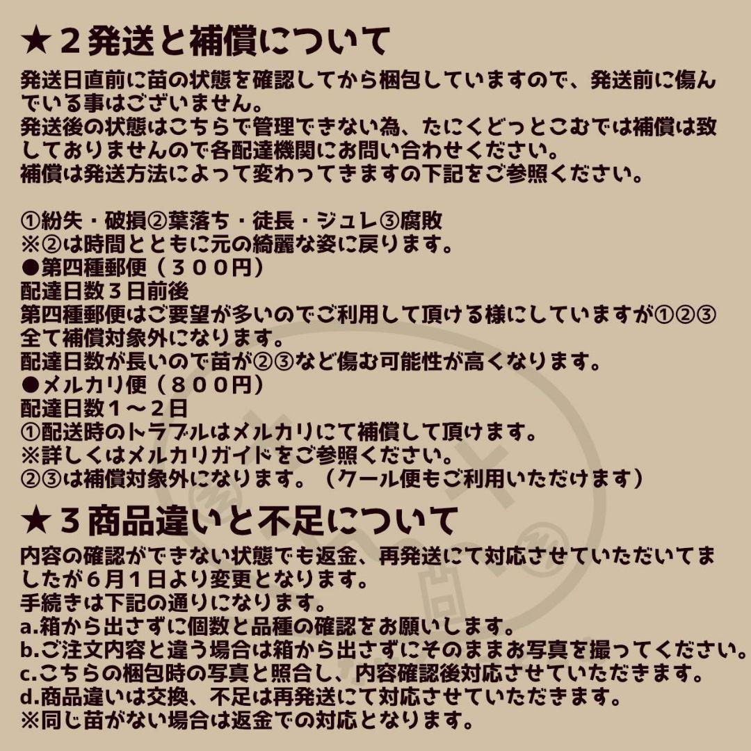メルカリ便◎KiKi様