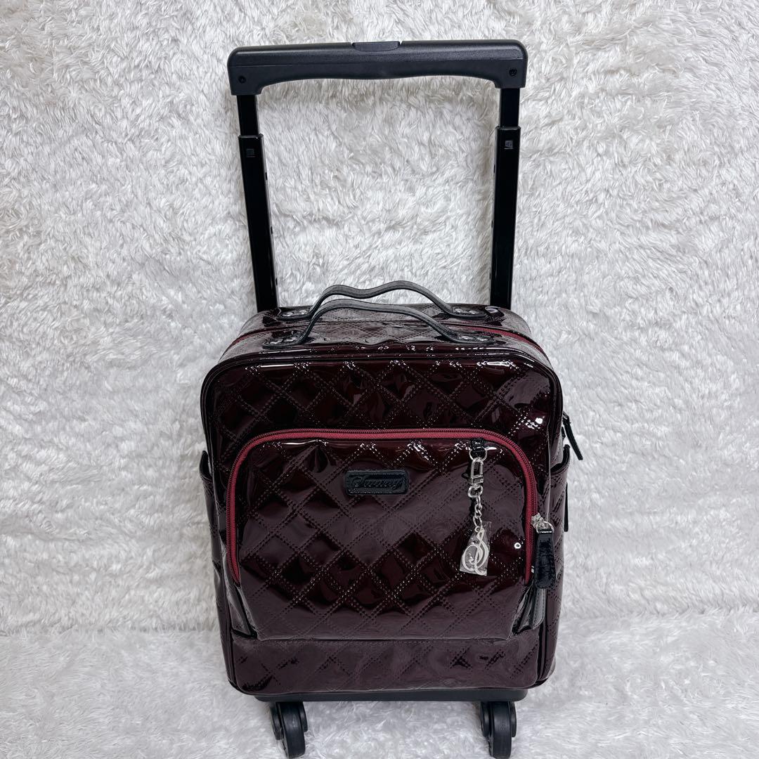 【未使用級✨】SWANY スワニー キャリーバッグ ソフトキャリーケース カート