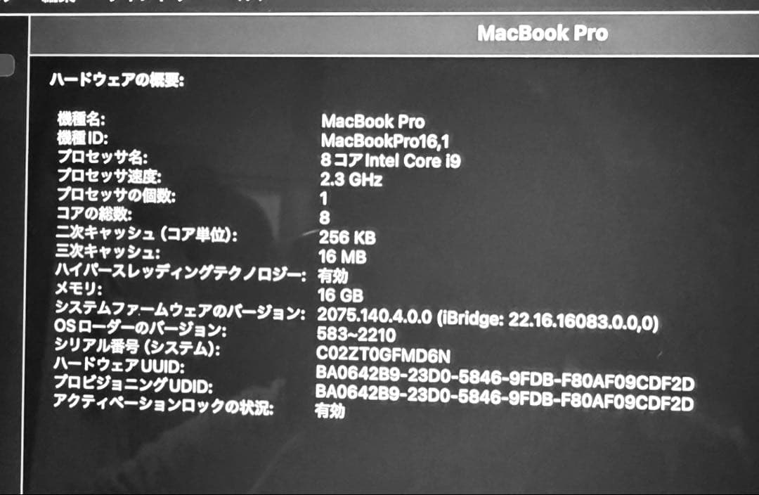 ジャンク品1TB i9 MacBook Pro 16 2019