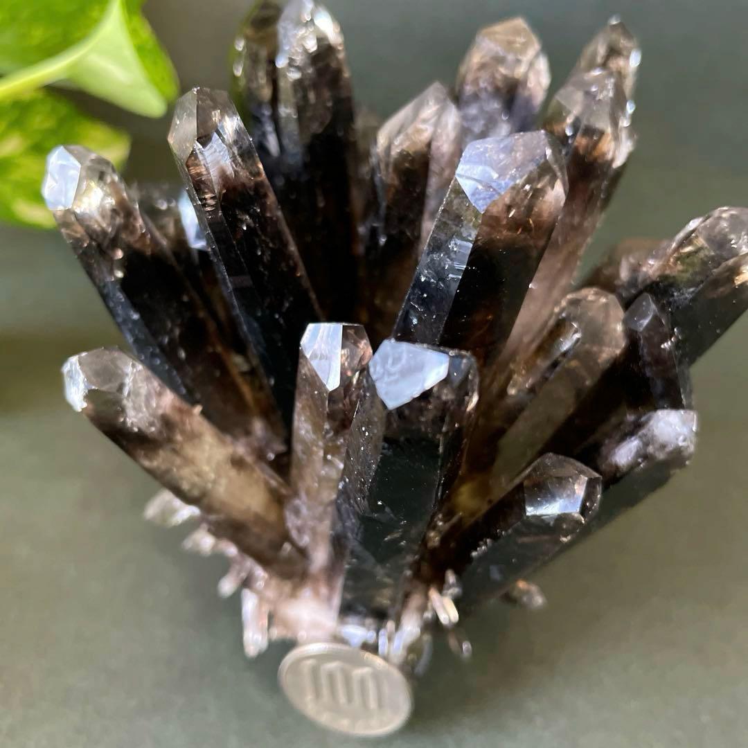 黒水晶　モリオン　スモーキークォーツ　煙水晶　天然石　パワーストーン　クラスター
