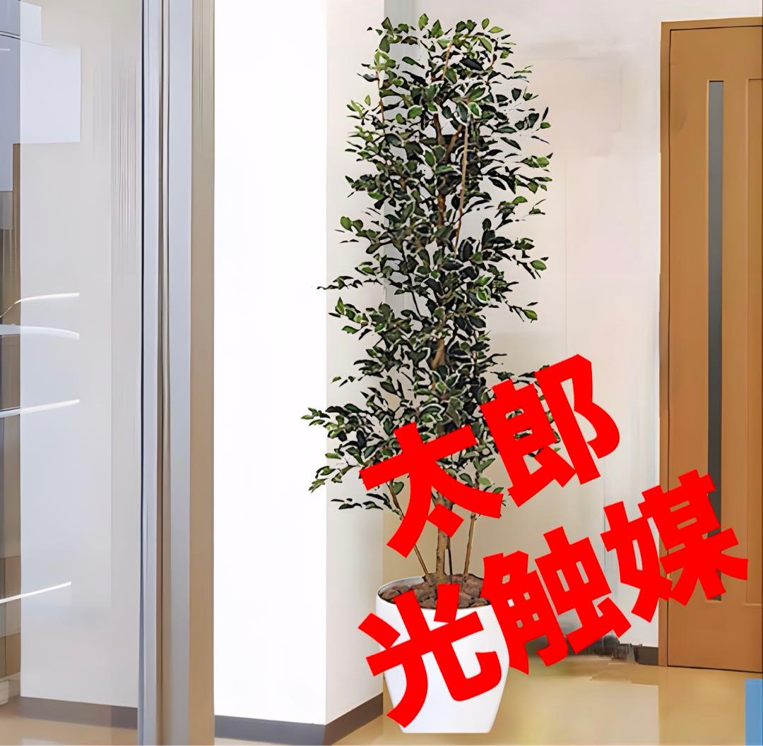 光触媒　人工観葉植物　フェイクグリーン　ガジュマルタワー170@ad