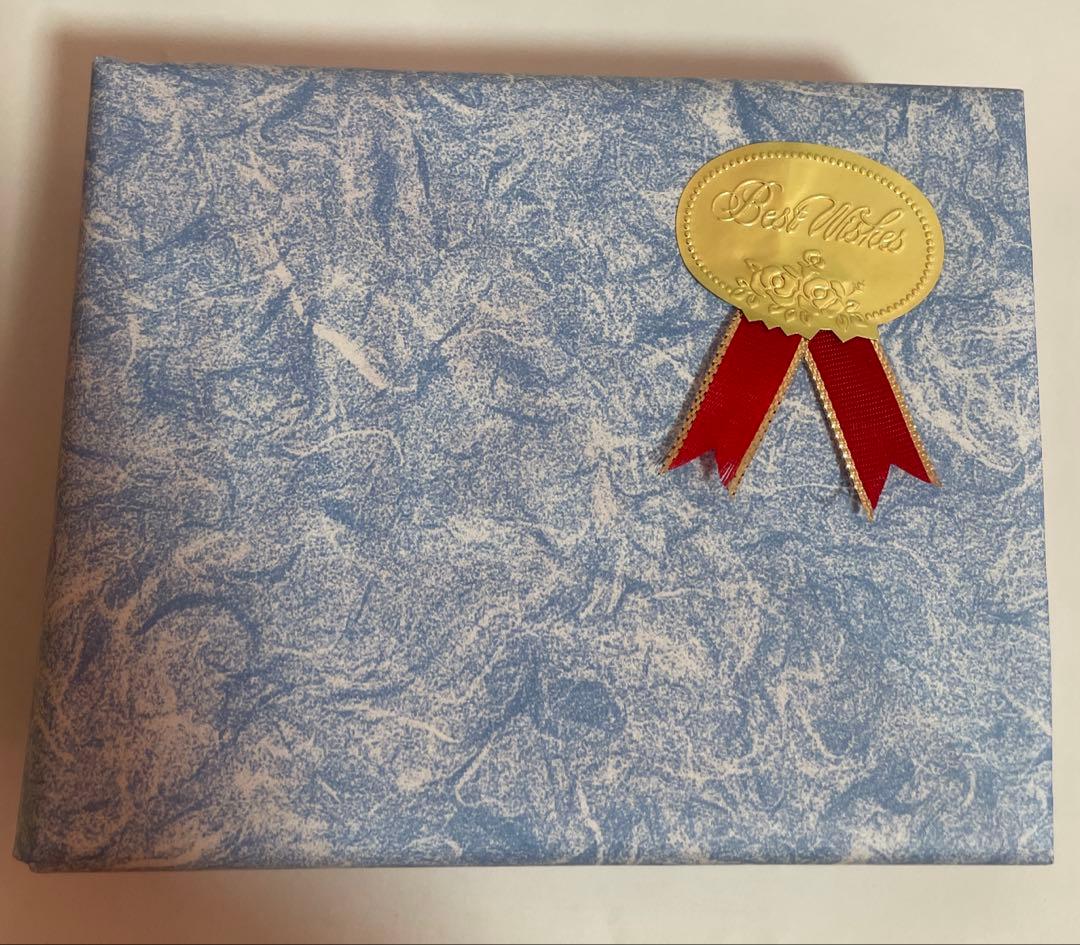 新品 DIESEL ホワイト 二つ折り 財布 カードケース ケース