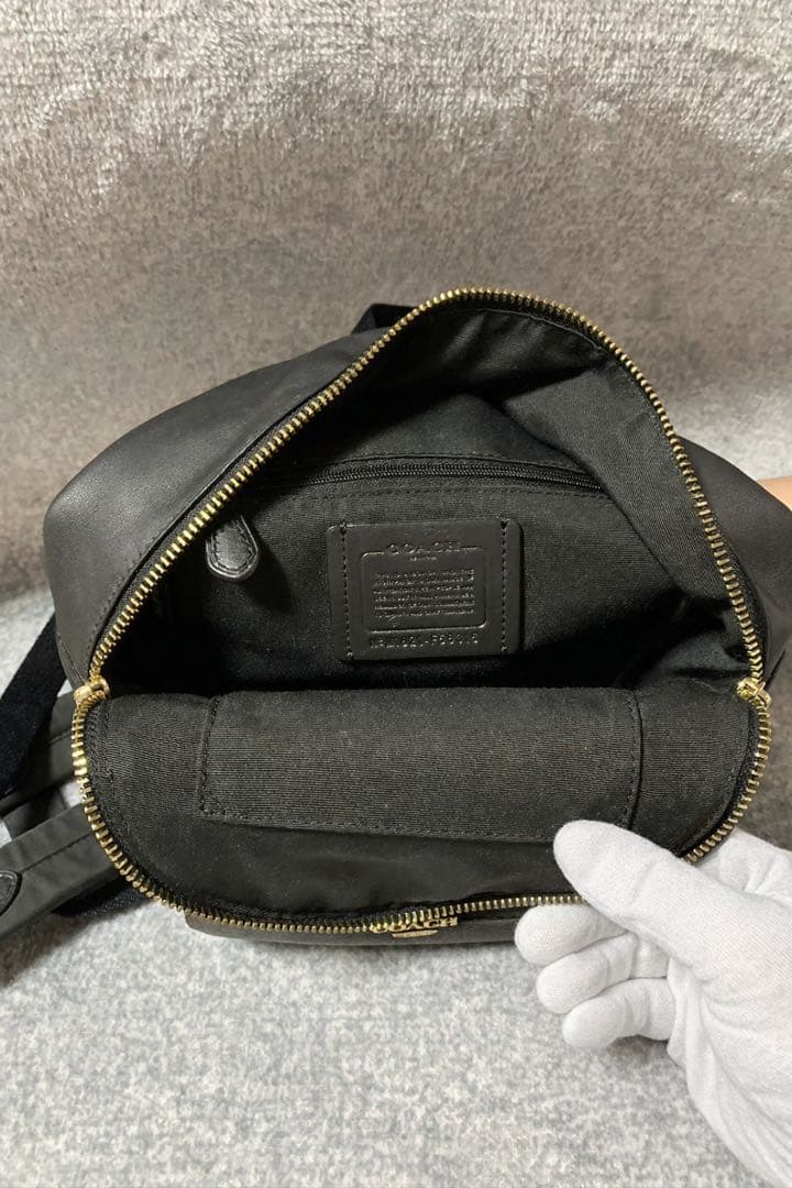 美品 希少カラー COACH シグネチャー ミニチャーリー バックパック