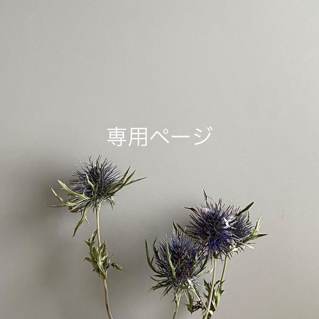 popo様*°♡