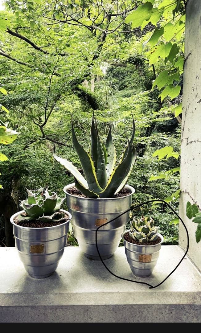 masses×M&m TYPE1 【Chrysails 】Aluminum