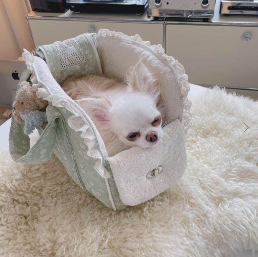 BABIANA バビアナ　キャリーバッグ　スリング　+クッション+幅広ショルダー