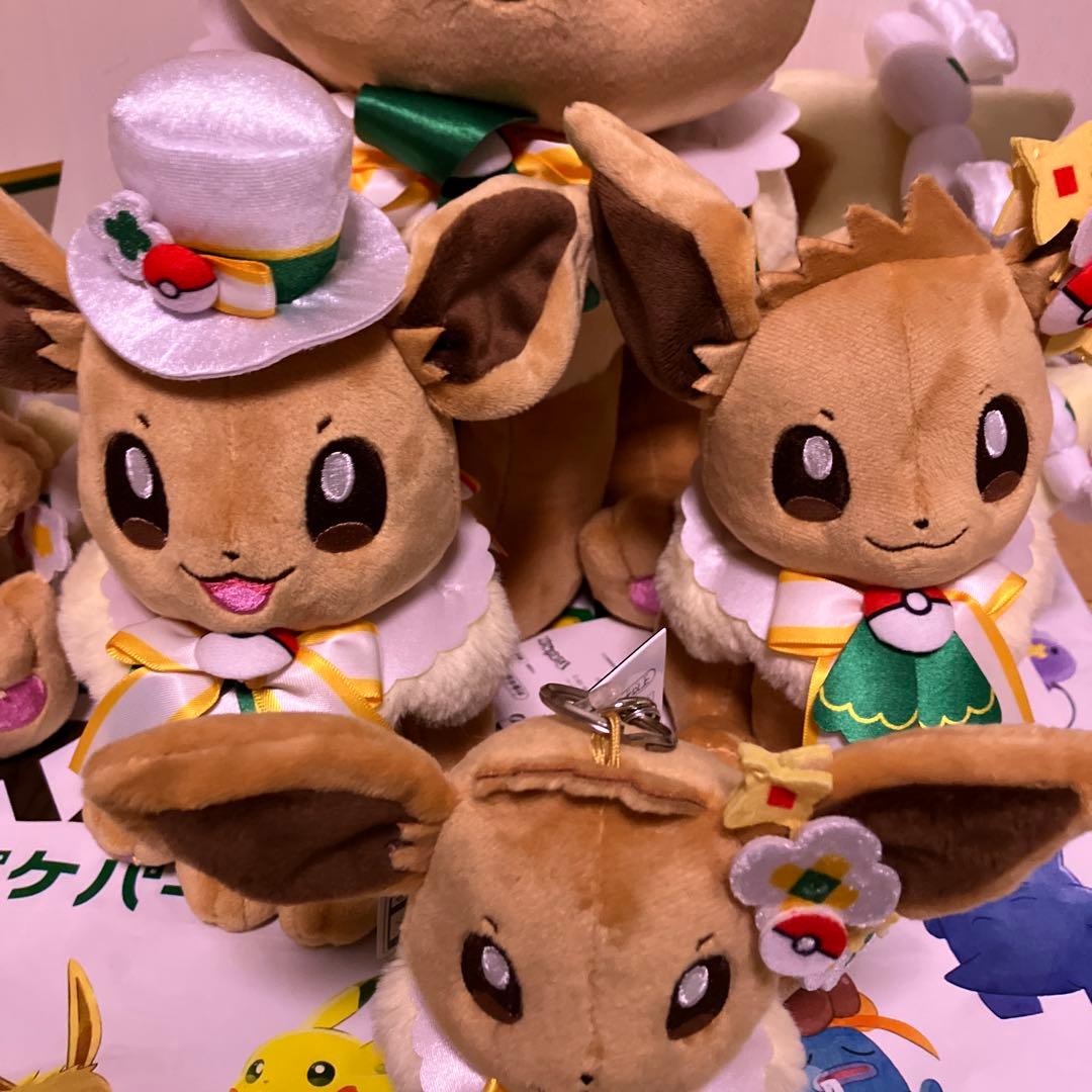 ポケパークカントー　 ショップ　限定 イーブイ　ぬいぐるみ5体セット