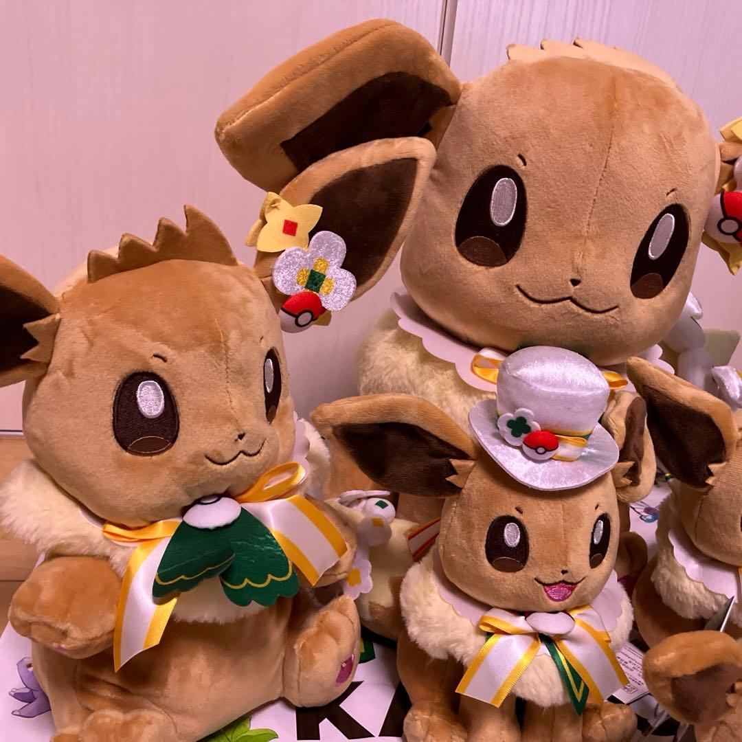 ポケパークカントー　 ショップ　限定 イーブイ　ぬいぐるみ5体セット