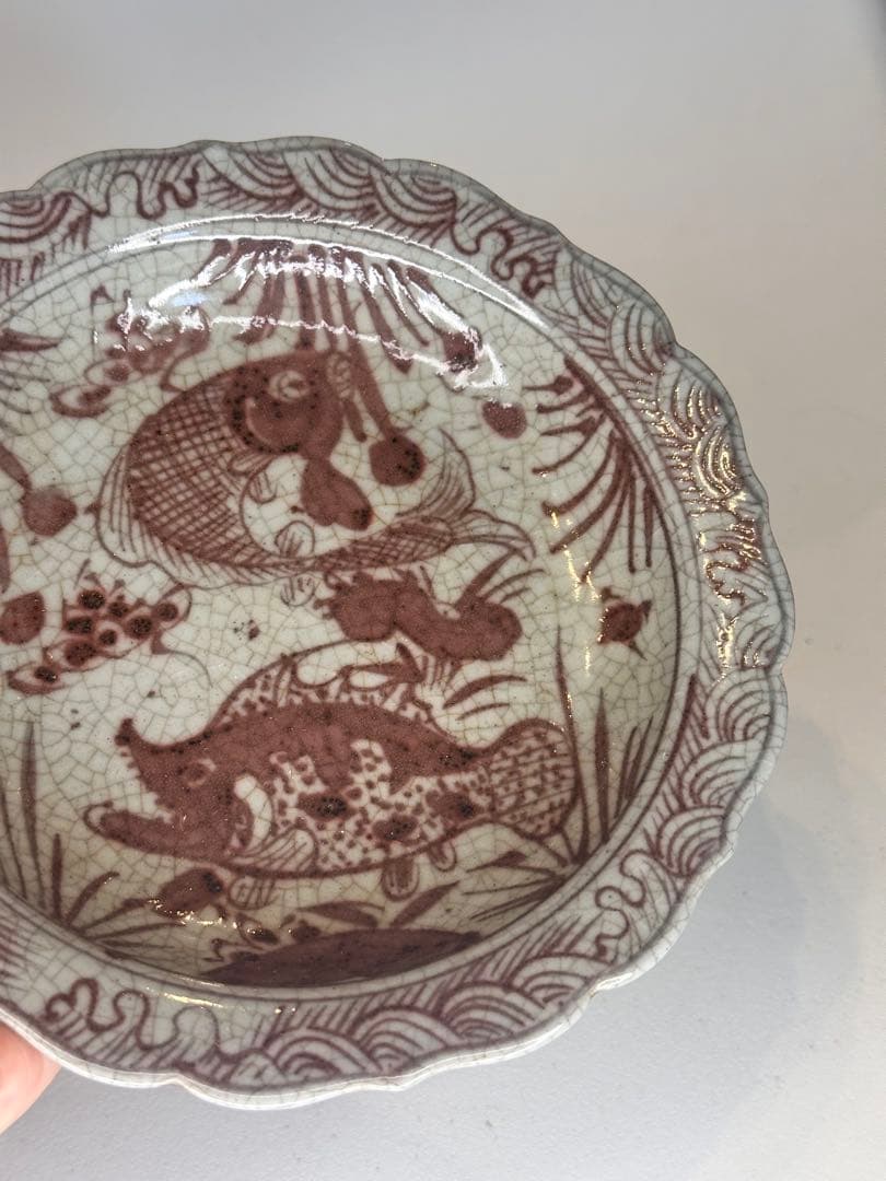 明代　釉裏紅　双魚文　葵口盤　開片　「天」字底款　年代物　古陶磁