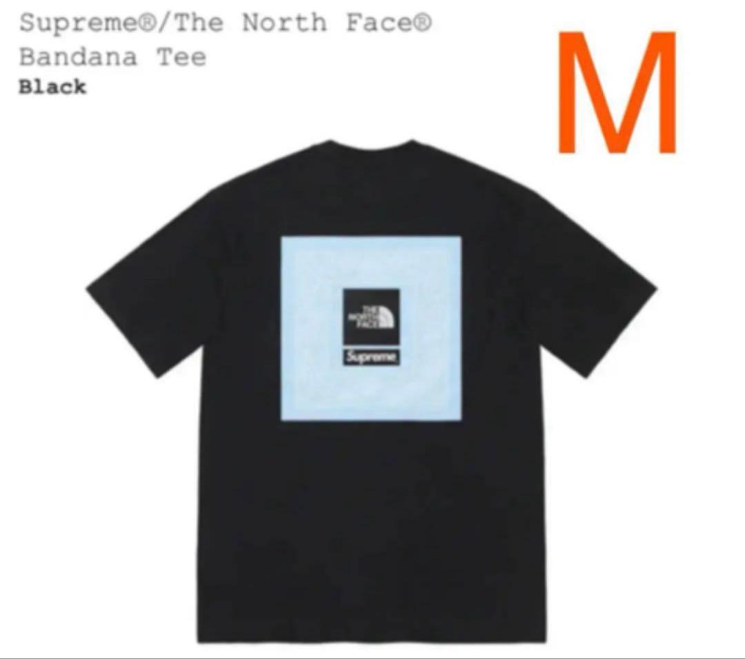 トップス Supreme / The North Face bandanna TEE