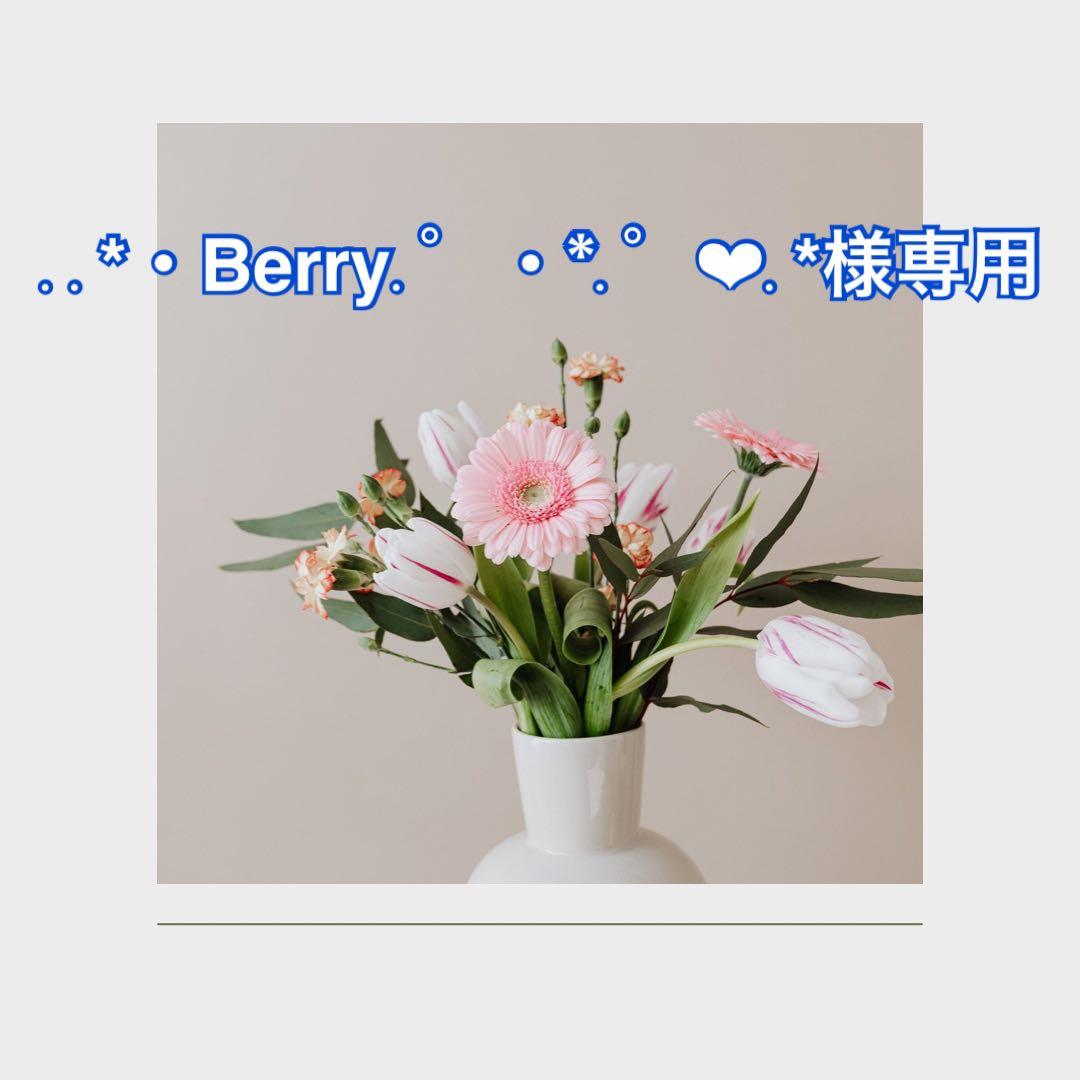 ..*・Berry.゜・*.゜❤︎.*
